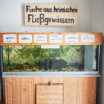 230830_Kreuztal_Foto Peter Gwiazda WS (82)